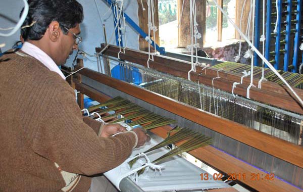 TARA Hand Loom and TARA Micron